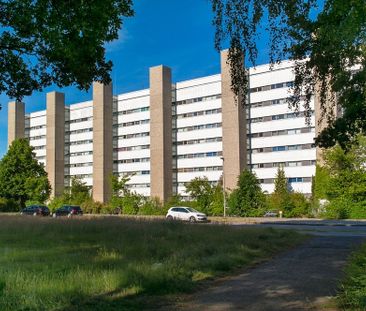 Komfortables Wohnen in Detmerode: 3-Zimmer-Wohnung mit Loggia - Photo 3