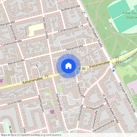 Kastanienallee 37, 38104 Niedersachsen - Braunschweig