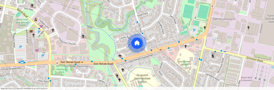 8 Carey Place, Otara, Manukau City