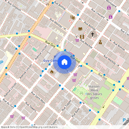 1421 Rue Pierce, Montréal (Ville-Marie), QC H3H