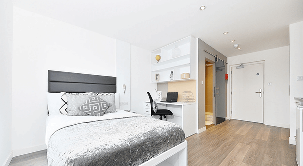 Classic Studio Plus - Photo 1