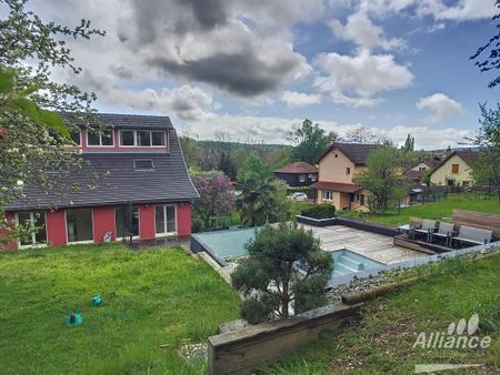 VILLA AVEC PISCINE A DEBORDEMENT A SELONCOURT - Photo 5