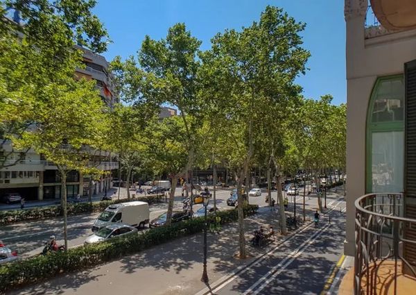 Gran Via de les Corts Catalanes, Barcelona, Catalonia 08007