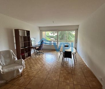 3 rooms in Champel - Rue Albert Gos 5 - Photo 3