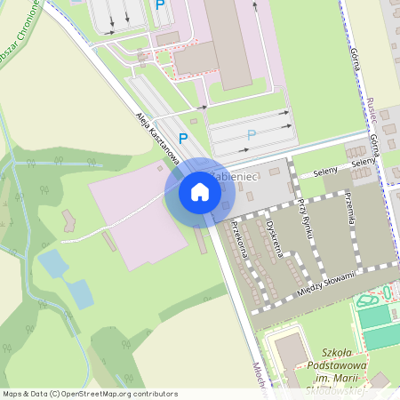 Pruszkowski, Nadarzyn, Rusiec