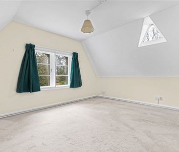 *GAS & ELECTRIC IS INCLUDED IN THE RENT* This two-bedroom detached ... - Photo 3