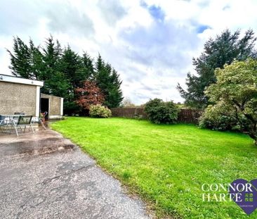 29 Baladoogh Lane, Cookstown, BT80 9JH - Photo 3