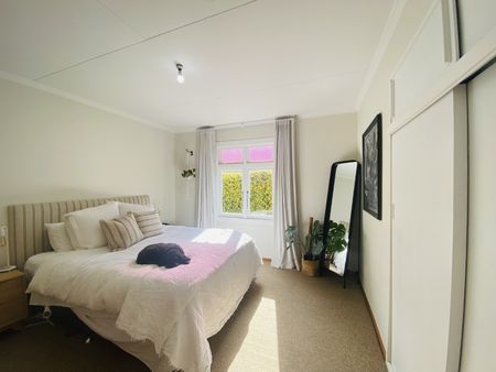 Georges Drive, Napier South - Photo 5