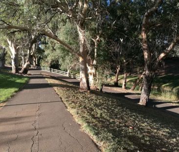 Family Home Close to O Bahn - Photo 1