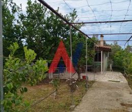 Μονοκατοικία για ενοικίαση - Διακοπτό, - Photo 6