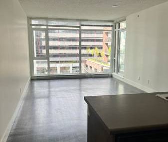 Hudson Mews Unit 1108 Available for Rent! 1 MONTH RENT FREE! - Photo 3