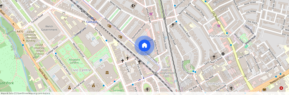 Llantwit Street, CF24 4AJ, Cathays