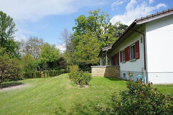Maison à louer, Chemin Edouard-Sarasin, à Le Grand-Saconnex, Suisse - Photo 1