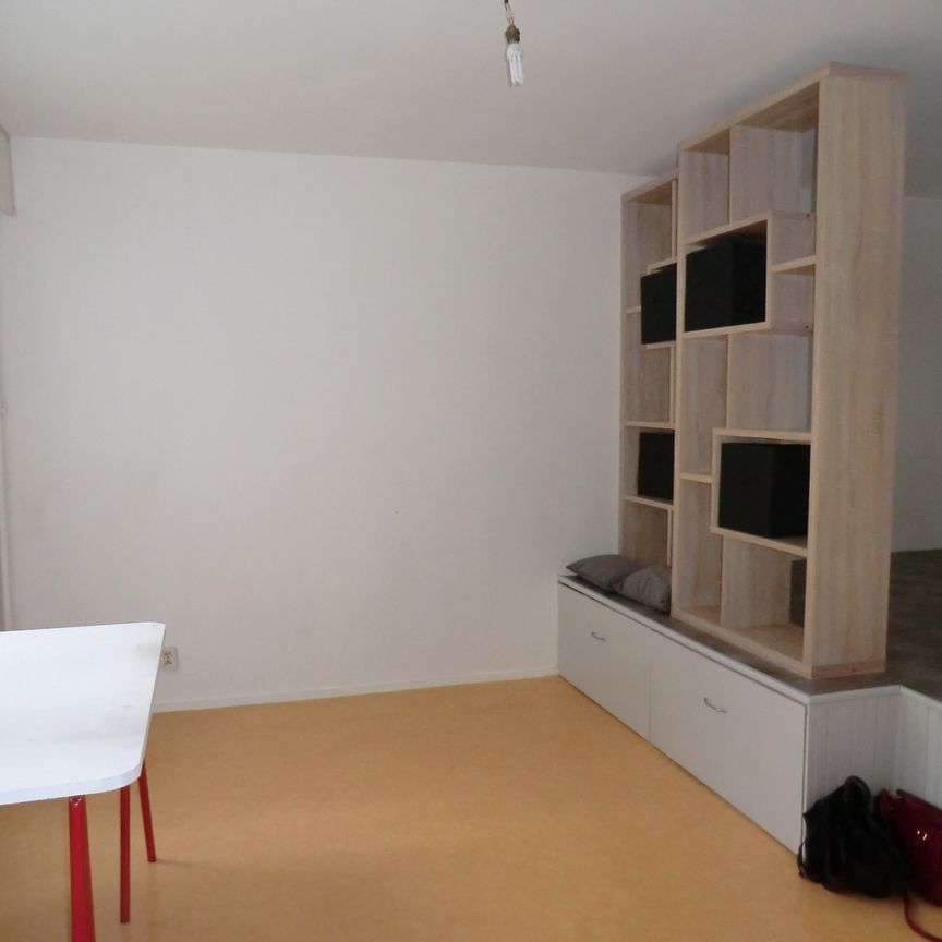 Location Appartement 1 pièce 25m² LIMOGES 87000 - Photo 1