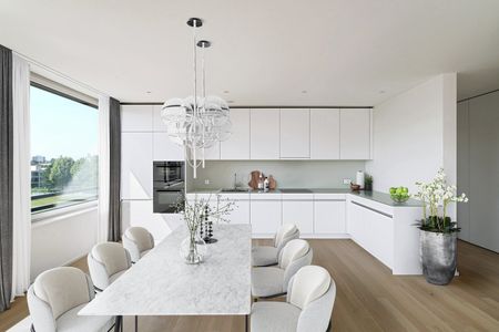 "Stilvoll im Penthouse über den Dächern Allschwils" - Photo 2