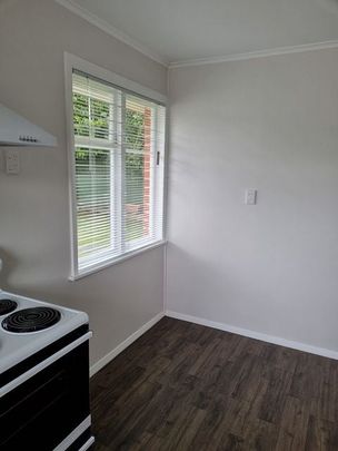 Completely renovated top to toe 2 bedroom unit - Photo 1