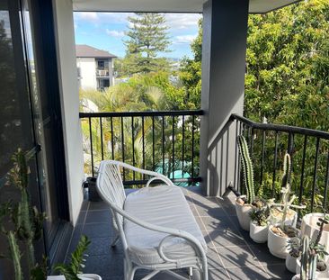 Palm Beach - Photo 1