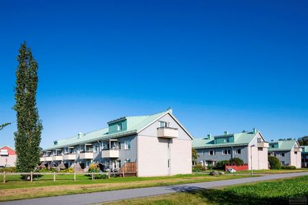 Flugsnappargränd 8 - Foto 5