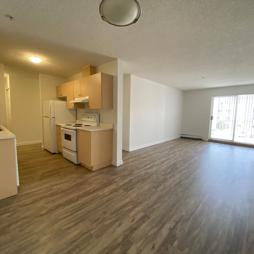 Stonebridge on Bothwell Drive - Photo 1