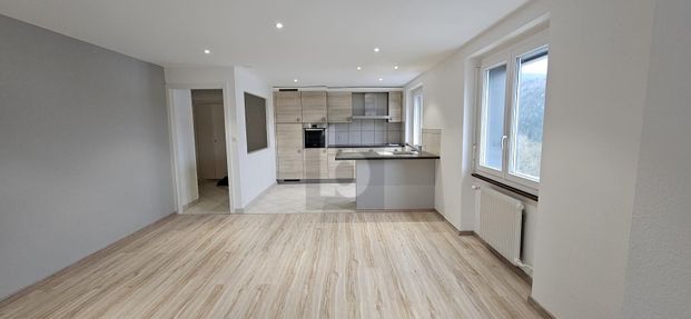 JOLIE VUE SUR LE LAC ET ENTIÉREMENT RÉNOVÉ - Foto 1