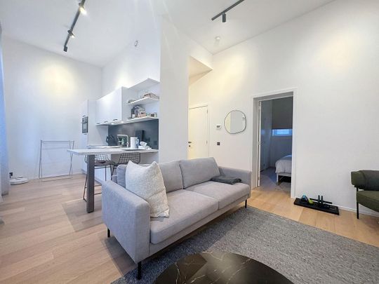 Brussels centre: magnificent furnished 1-bedroom flat - Foto 1