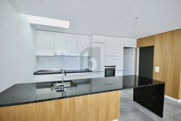 SPLENDIDE, DE HAUT STANDING AVEC MAGNIFIQUE VUE LAC - Foto 1