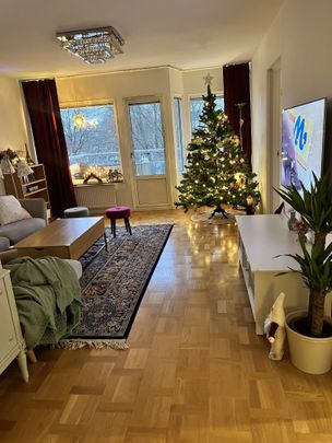 Ankdammsgatan, Solna - Foto 1