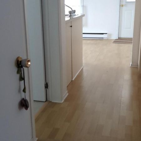 Danville – Appartement 3 1/2 à louer – Chauffé – Éclairé – Déneigé + Wi-Fi - Photo 3