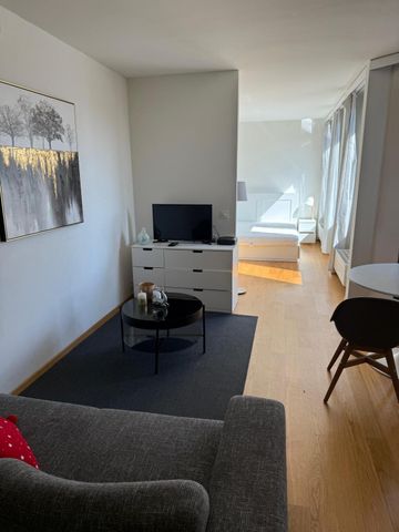 Luminous studio with balcony and rooftop in the heart of Geneva - Foto 5