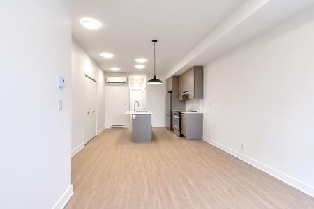 5341 Rue Rivard, Montréal, QC - Photo 3