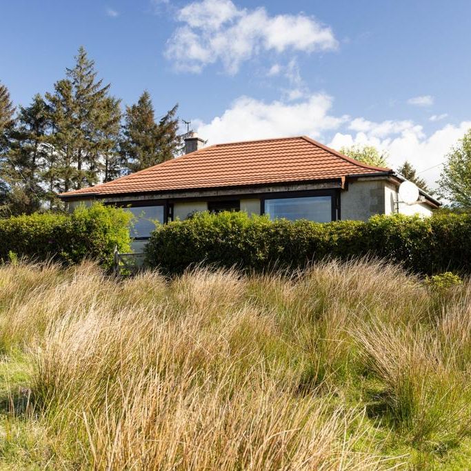 3 bedroom bungalow to rent - Photo 1