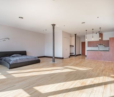 Appartement à louer - Montréal (Ville-Marie) (La Cité du Multimédia) - Photo 1