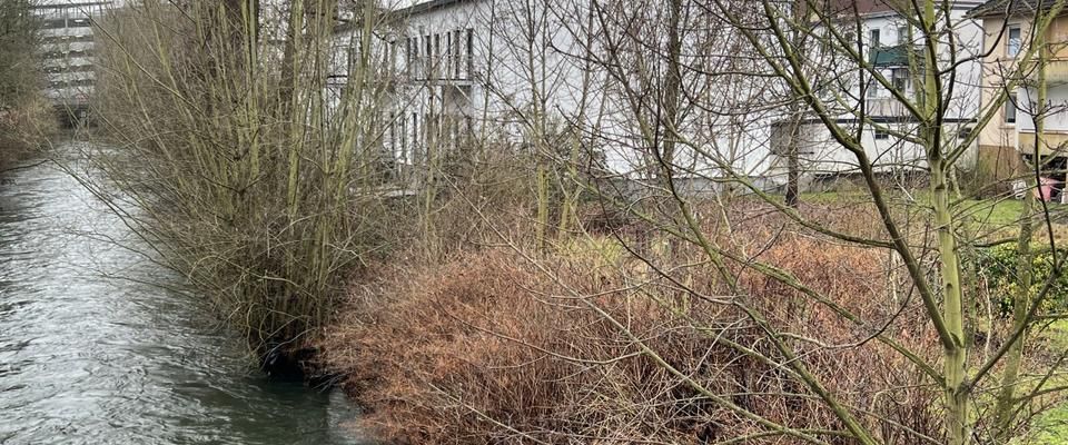 4 ZKBB - Si-Zentrum - WG geeignet - 5 Min. zur Oberstadt u. Bhf. - Foto 1