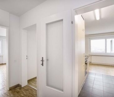 LOGEMENT CENTRAL - Photo 1