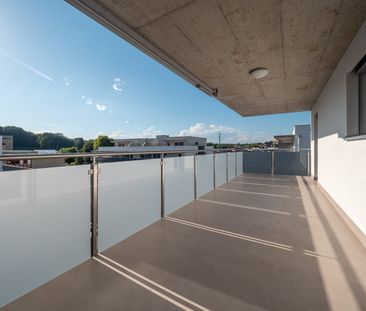 Appartement 2.5 pièces au rez-de-chaussée ! - Photo 1