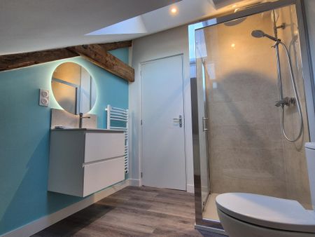 A LOUER STUDIO MEUBLÉ ANGERS-PASTEUR - Photo 4