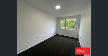 Light-filled New York-style first-floor apartment. Next to a beautiful park and cafes. Easy city access. - Photo 4