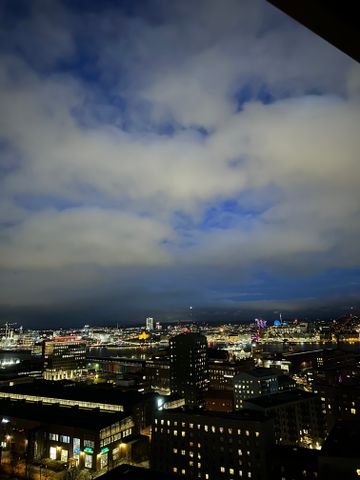 Lodjursstråket, Göteborg - Foto 2