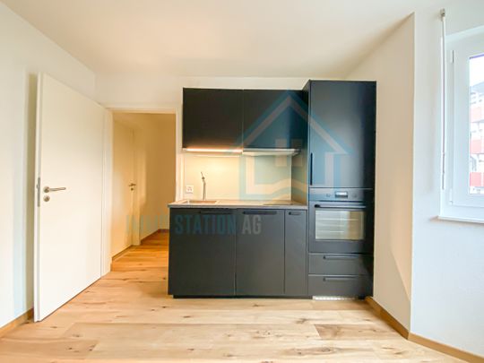 Modernes 1 Zimmerwohnung/Appartement/Studio in Gontenschwil AG - Photo 1