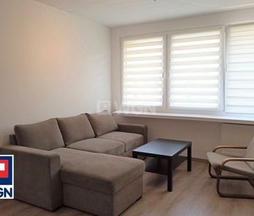 Mieszkanie na wynajem w bloku Legnica - Photo 2