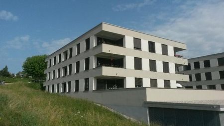 Appartement de 2.5 pièces au rez-de-chaussée - Photo 2
