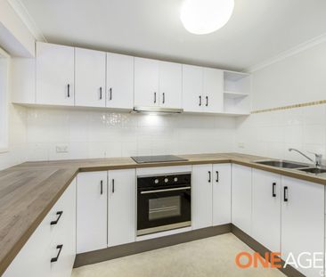 60B Hillcrest Street - Photo 2