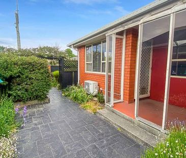 Sunny and Spacious with a Great Location - Photo 2