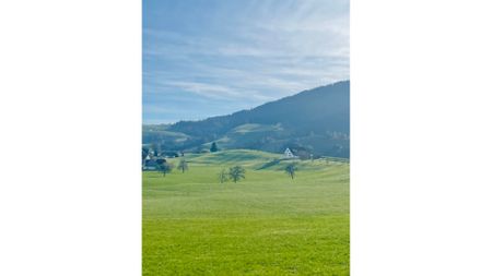 2 Zimmer-Attikawohnung in Hütten (ZH), möbliert, auf Zeit - Foto 5