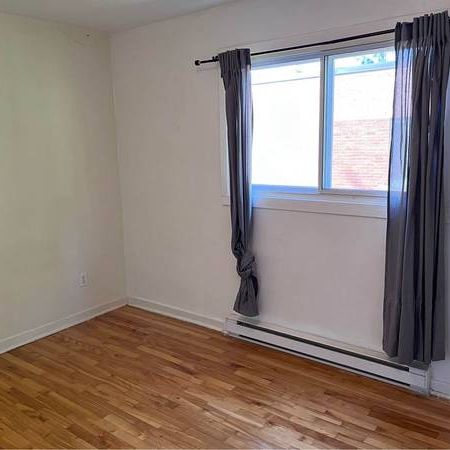 Renovated 2-bedroom Apartment in Cote-des-Neiges - Photo 4