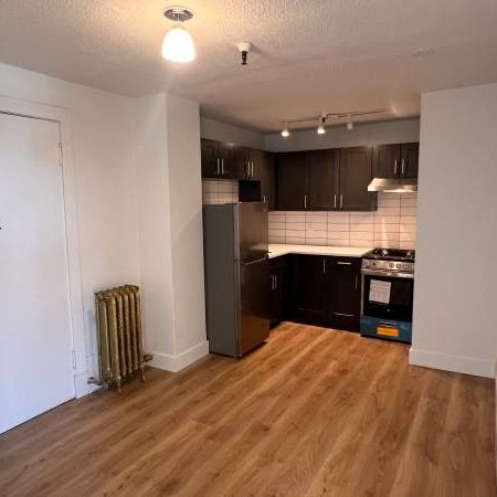 Newly Renovated 1 Bedroom in the Heart of Mt Pleasant! - Photo 1