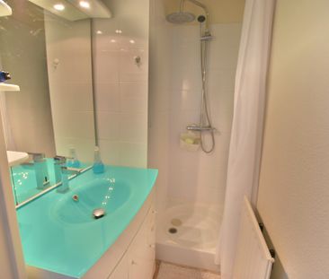 Location Appartement 1 pièce 24m² - Photo 2