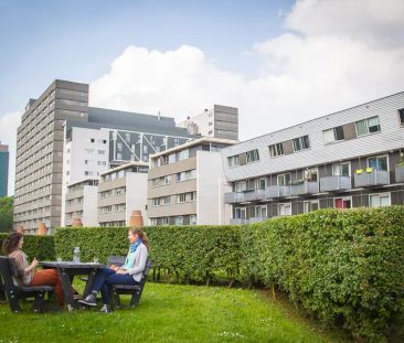 Chambre d'étudiant Cambridgelaan, Utrecht - À louer - Photo 1