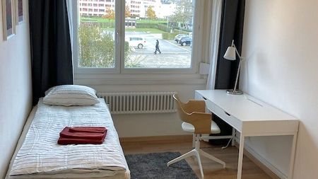 5½ Zimmer-Wohnung in Volketswil (ZH), möbliert - Photo 2