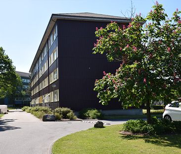 Afd. 29 Vangdalparken - Foto 4